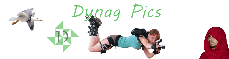 Dynag Pics
